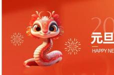 深圳市大智通国际货运代理有限公司元旦放假通知