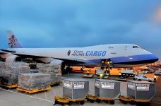 深圳美线货代排名—大智通国际物流